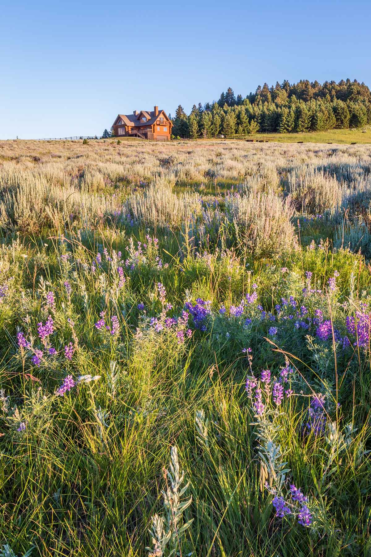 Flathead Pass property picture 14 of 20