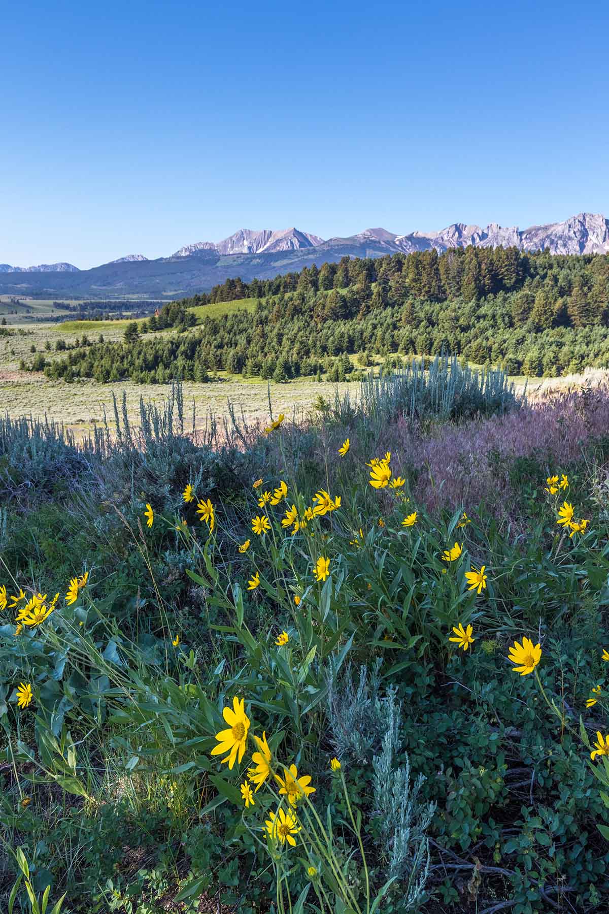 Flathead Pass property picture 13 of 20