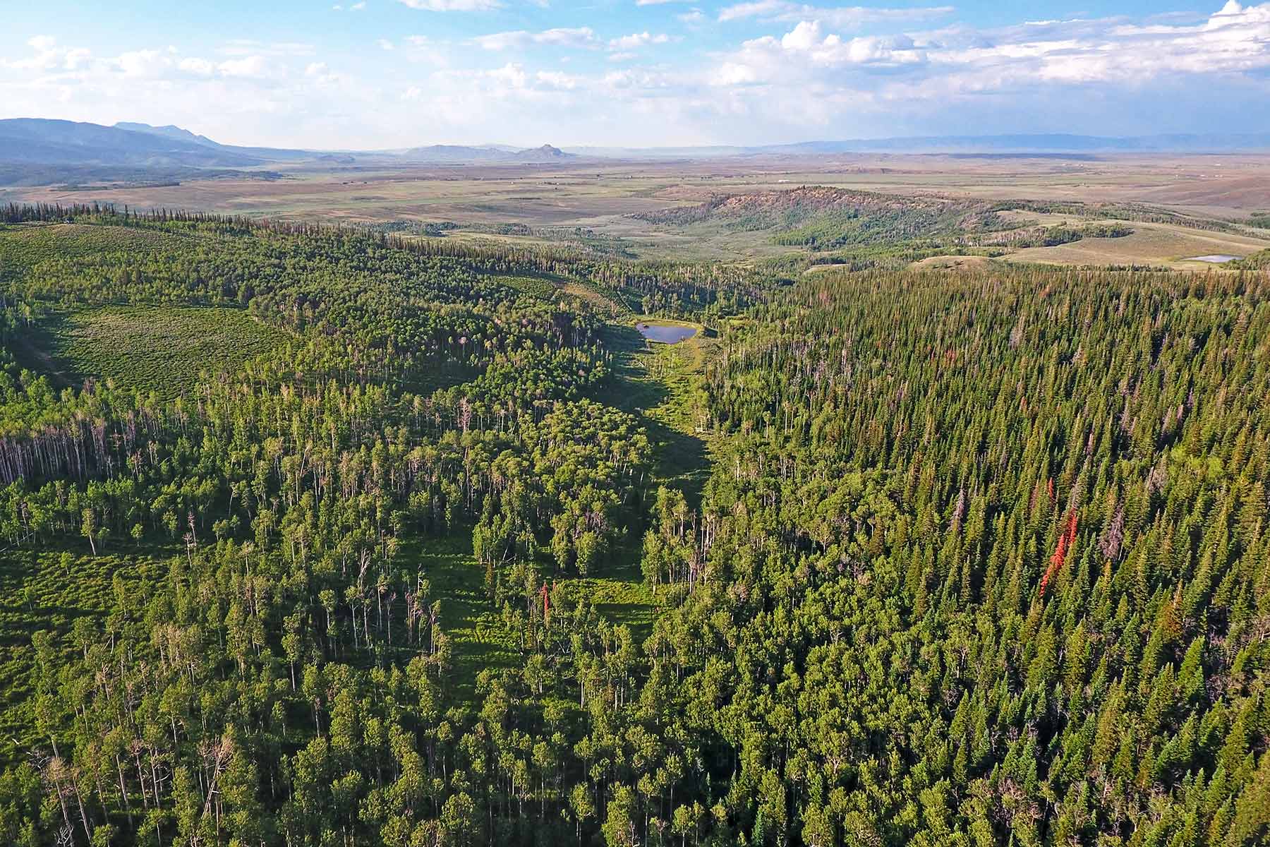 Elk Bluff Ranch property picture 37 of 59