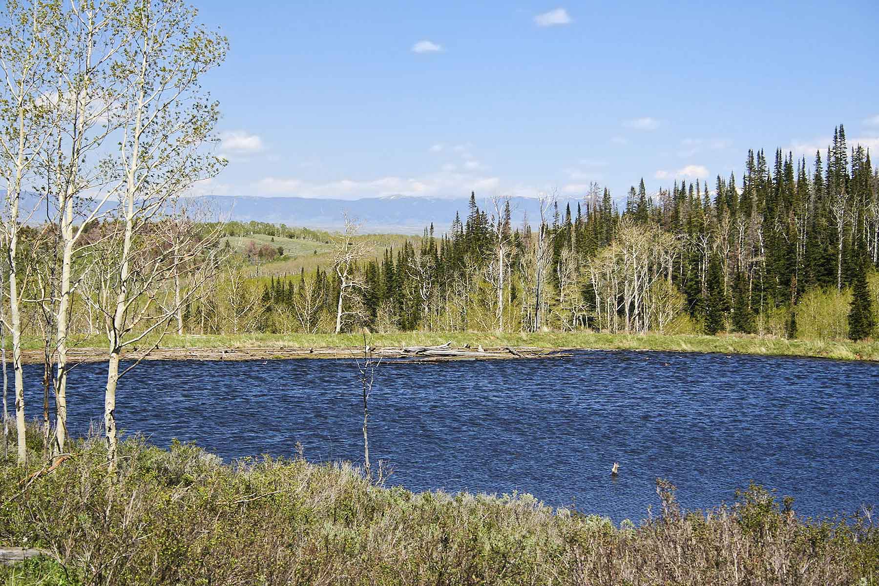 Elk Bluff Ranch property picture 7 of 59