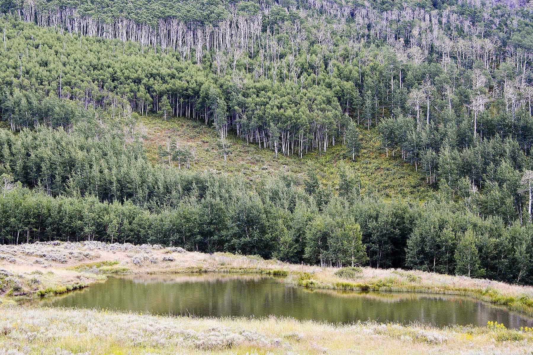 Elk Bluff Ranch property picture 47 of 59