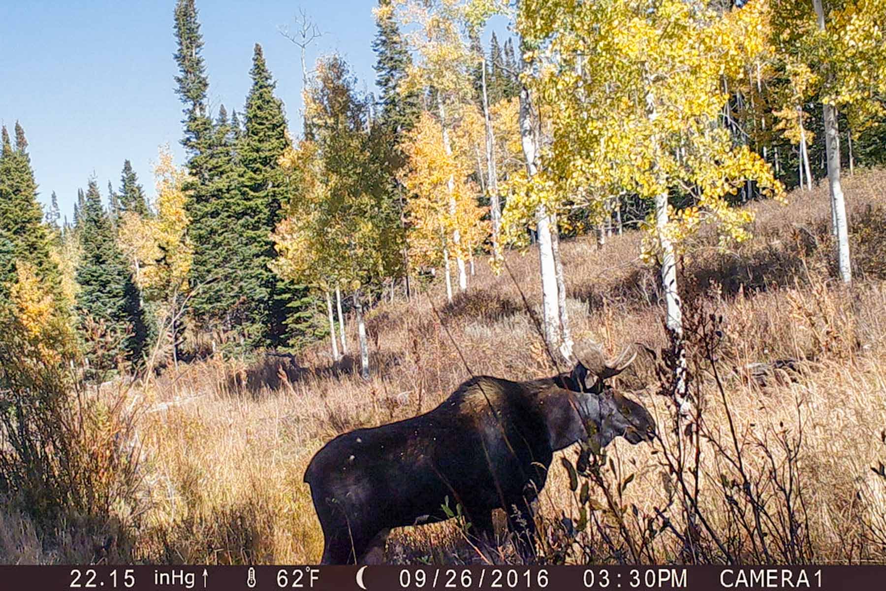 Elk Bluff Ranch property picture 14 of 59