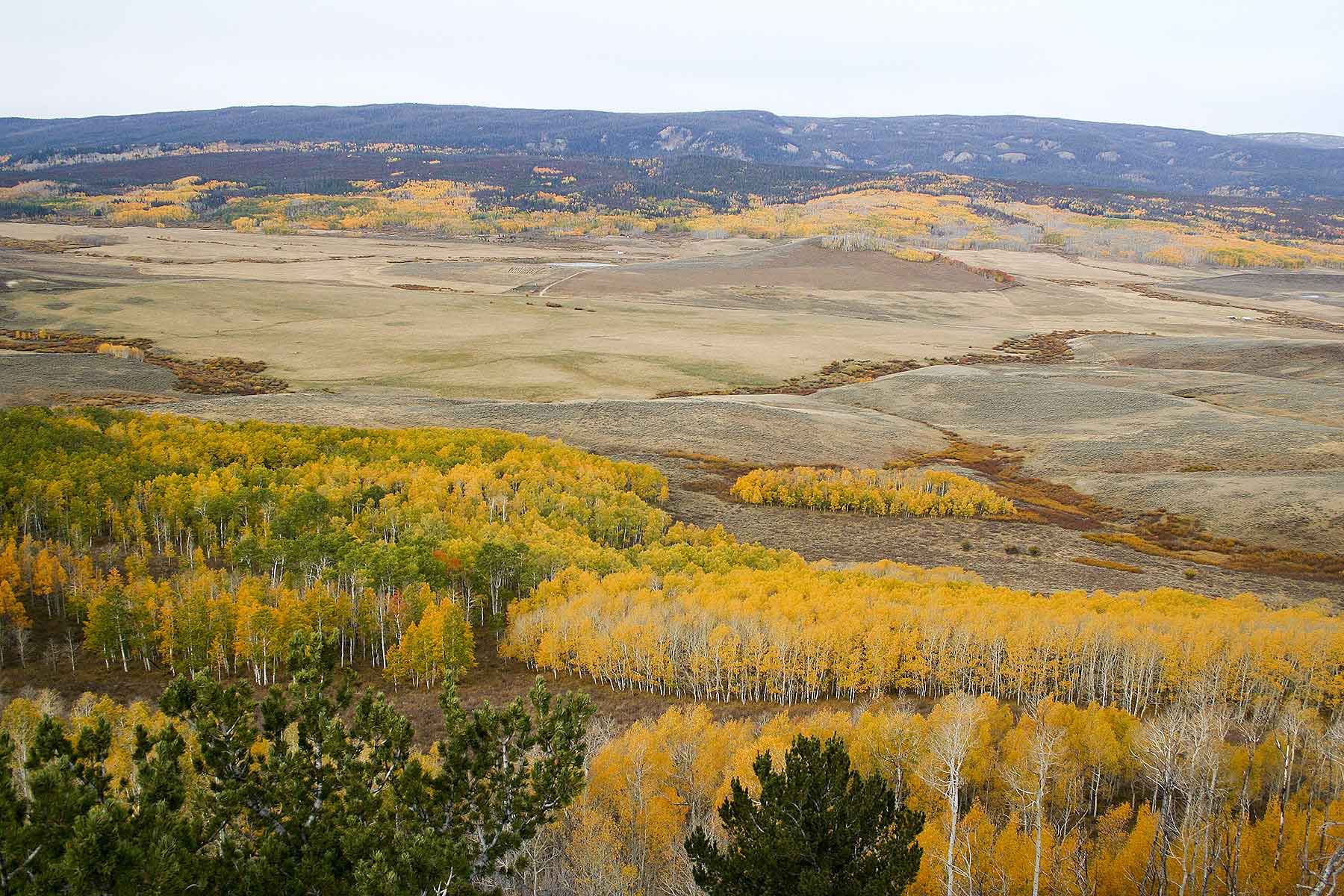 Elk Bluff Ranch property picture 28 of 59