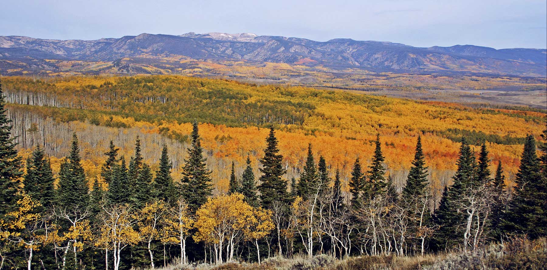 Elk Bluff Ranch property picture 4 of 59