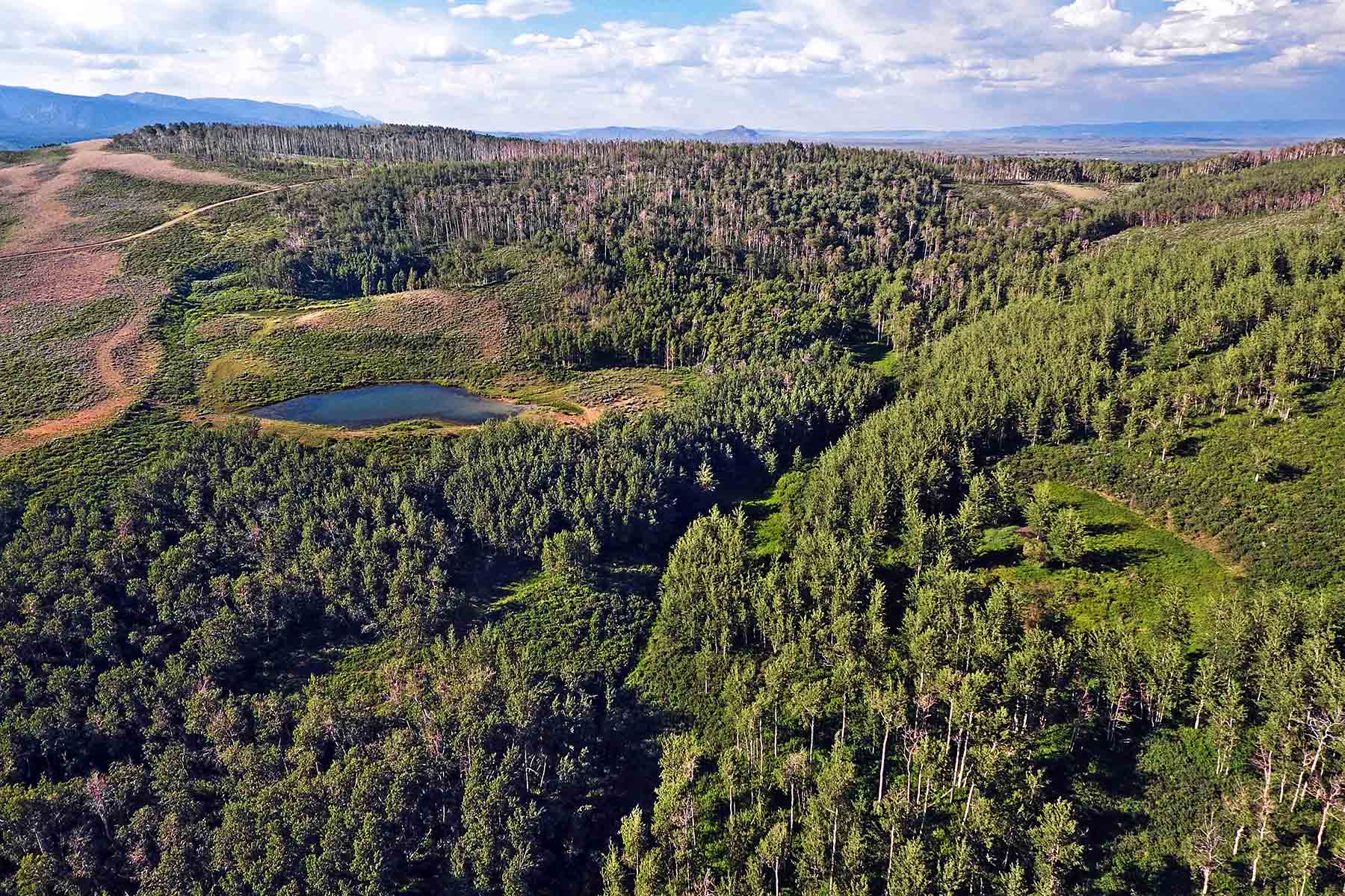 Elk Bluff Ranch property picture 53 of 59