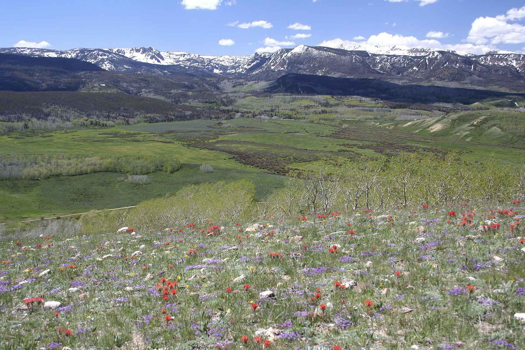 Elk Bluff Ranch property picture 26 of 59