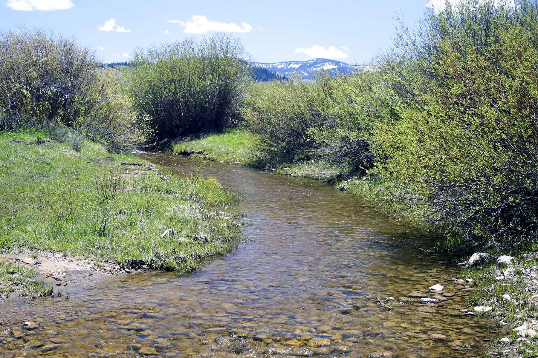 Elk Bluff Ranch property picture 51 of 59