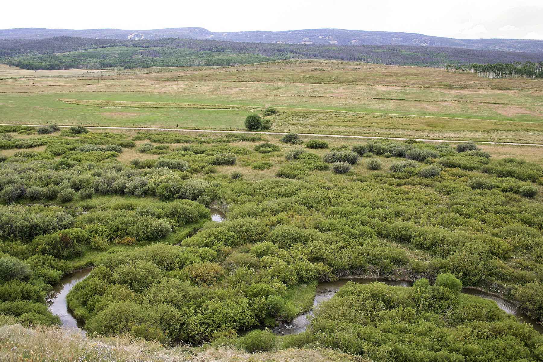 Elk Bluff Ranch property picture 52 of 59