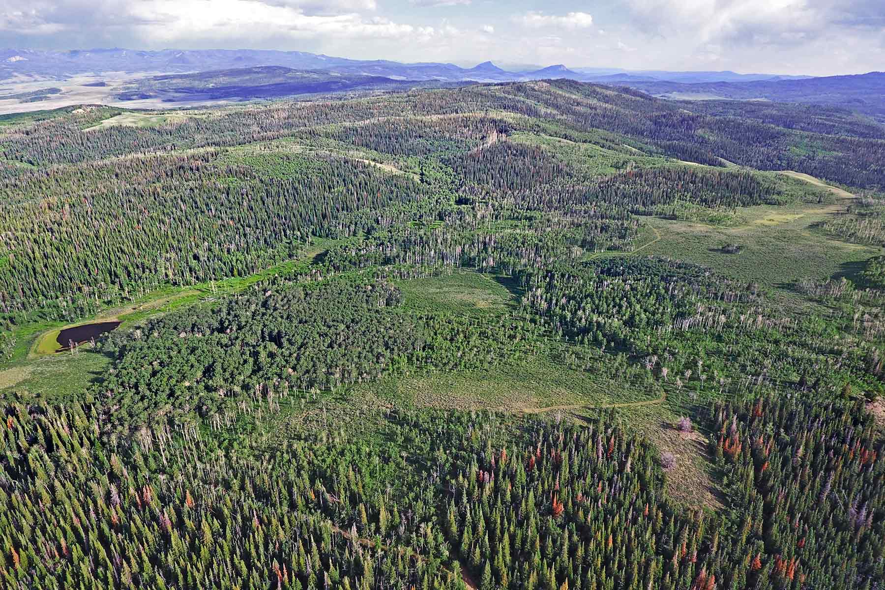 Elk Bluff Ranch property picture 13 of 59