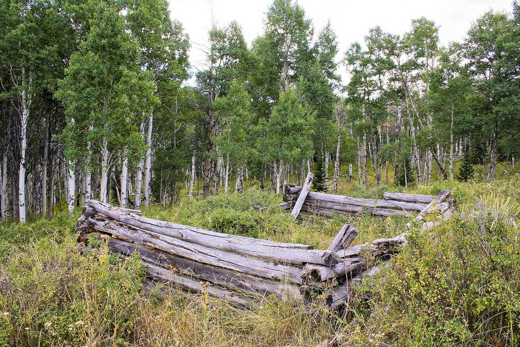 Elk Bluff Ranch property picture 48 of 59