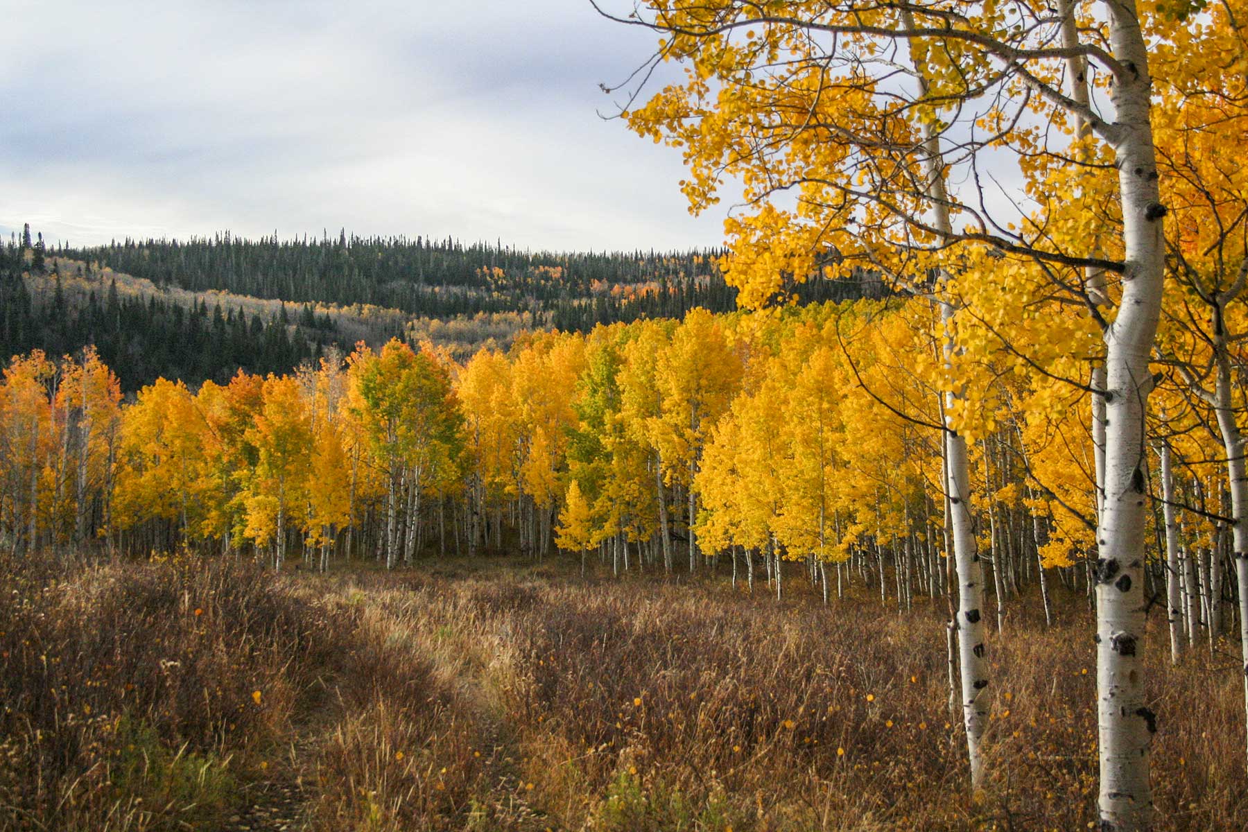 Elk Bluff Ranch property picture 29 of 59