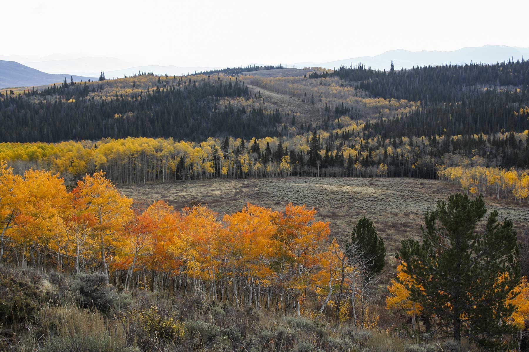 Elk Bluff Ranch property picture 10 of 59