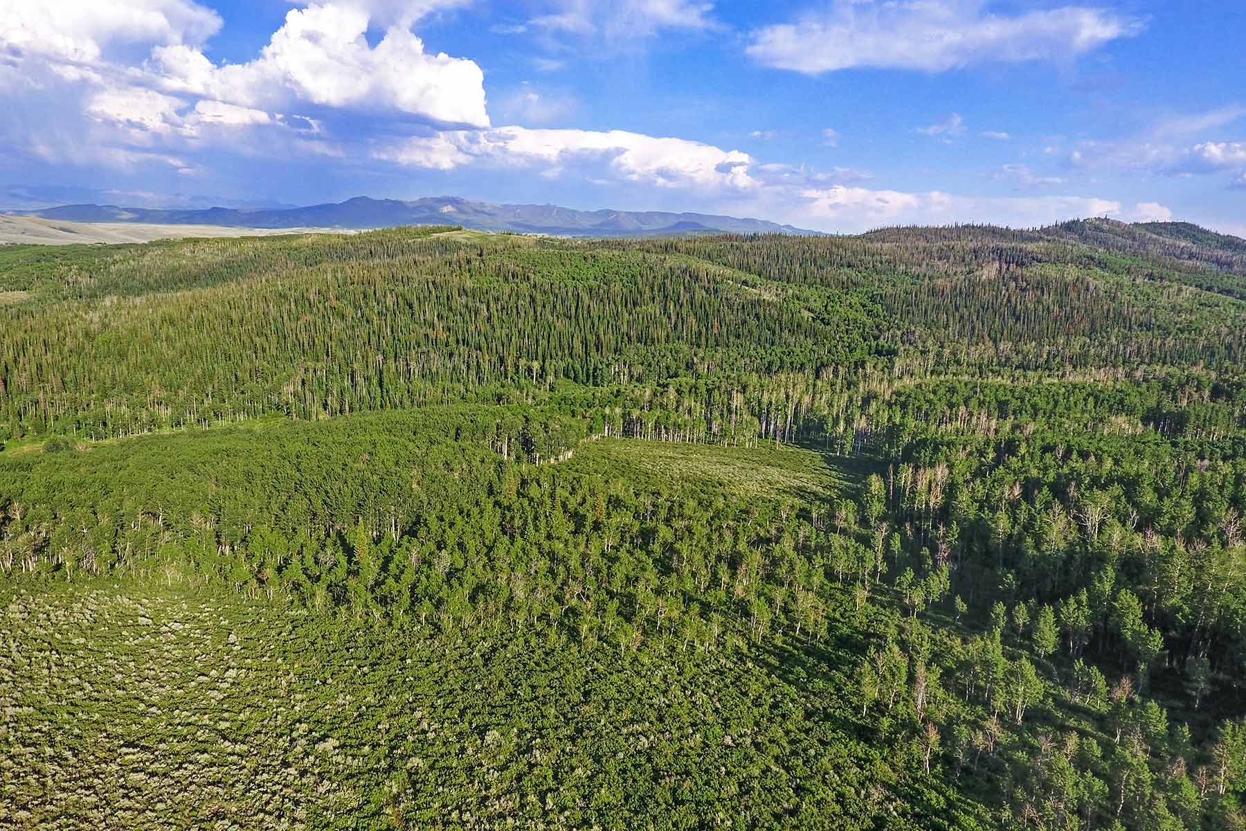 Elk Bluff Ranch property picture 35 of 59