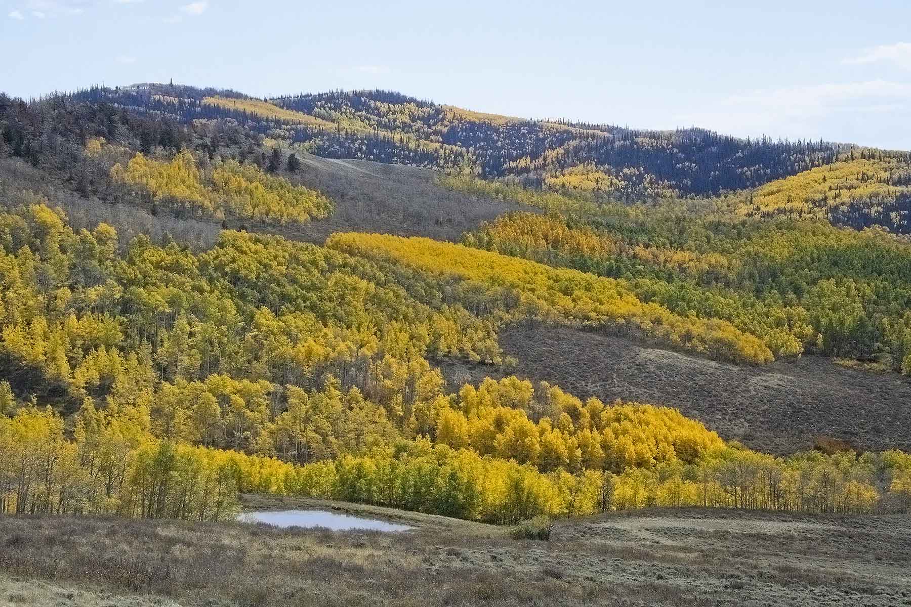 Elk Bluff Ranch property picture 31 of 59