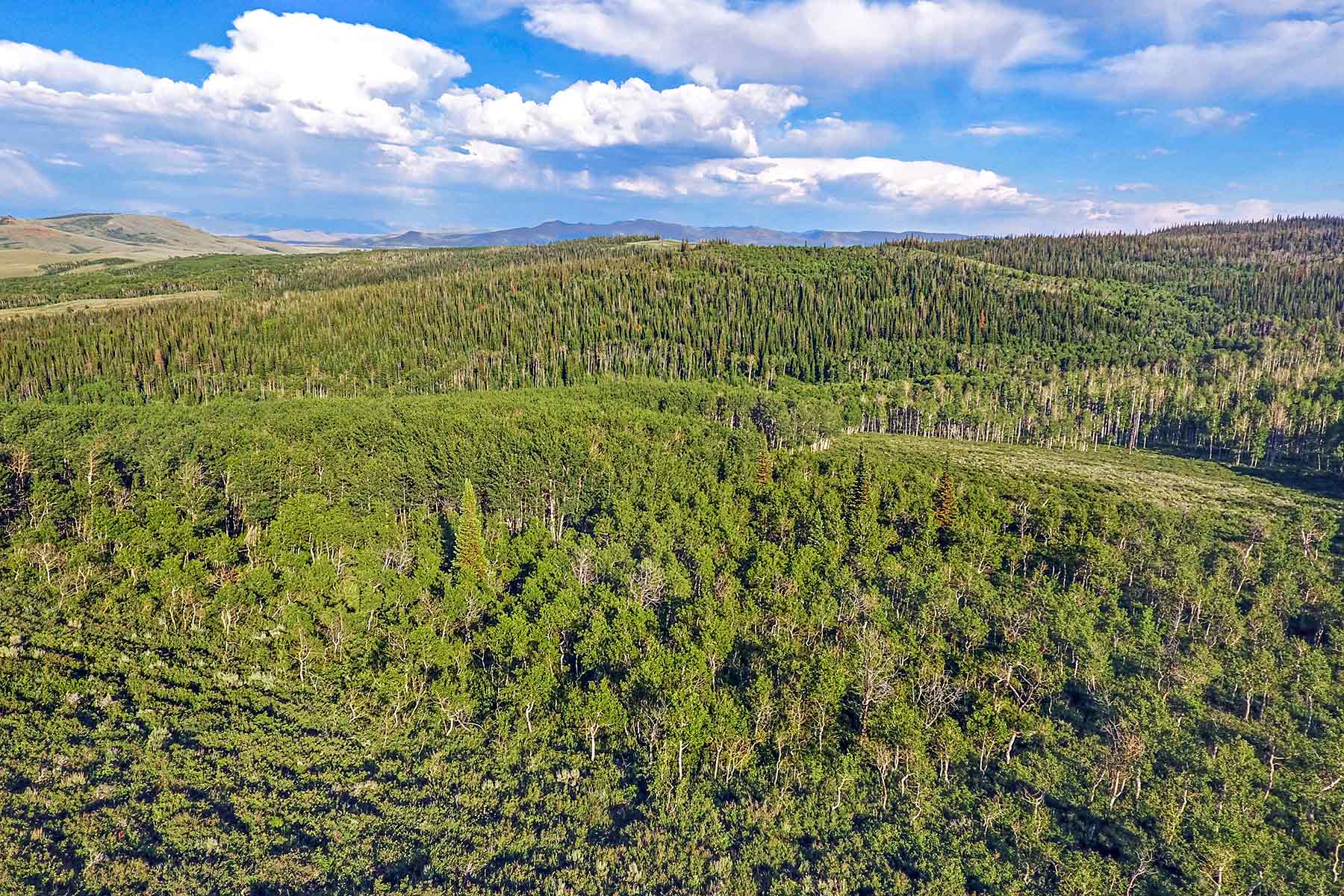 Elk Bluff Ranch property picture 2 of 59