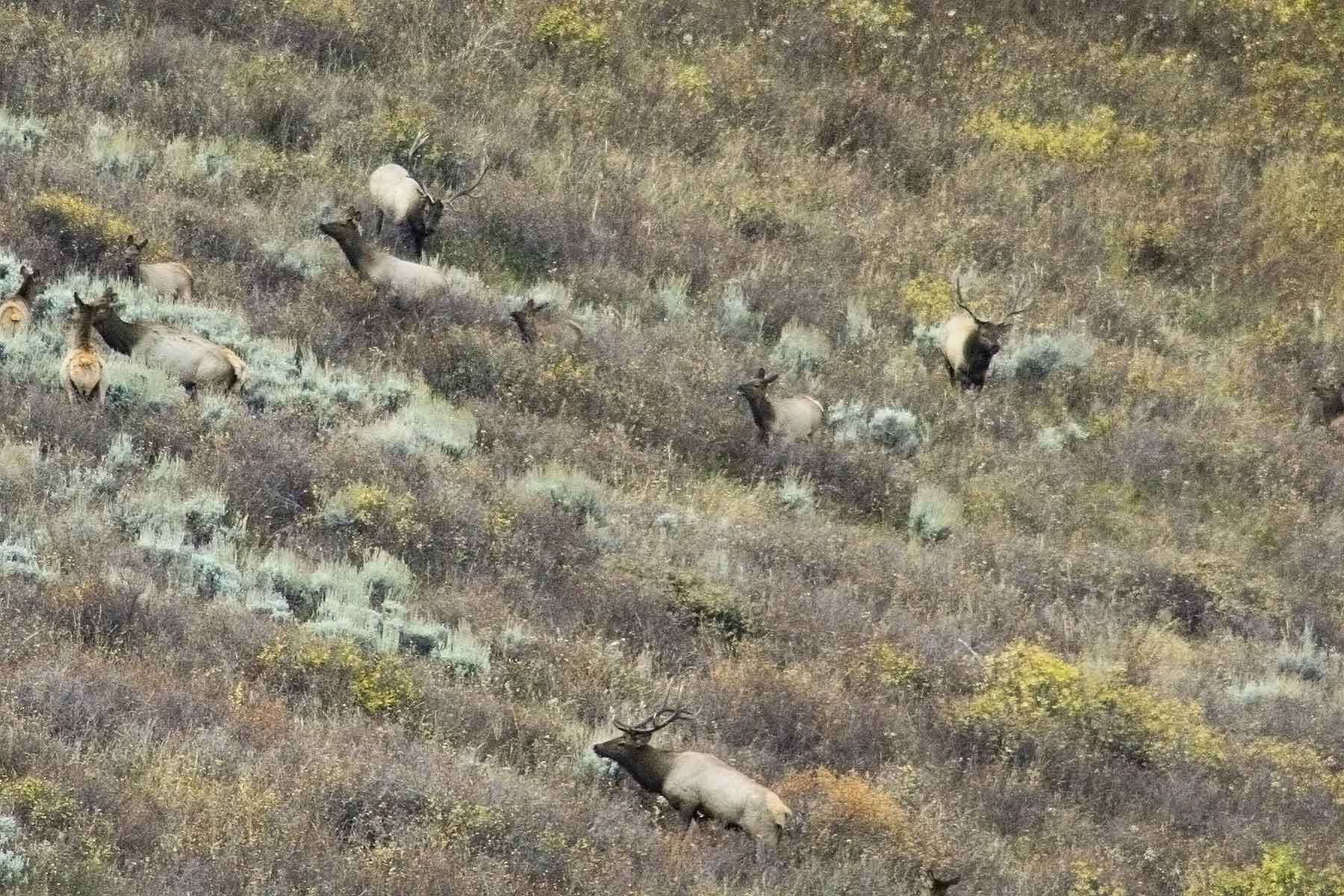 Elk Bluff Ranch property picture 18 of 59