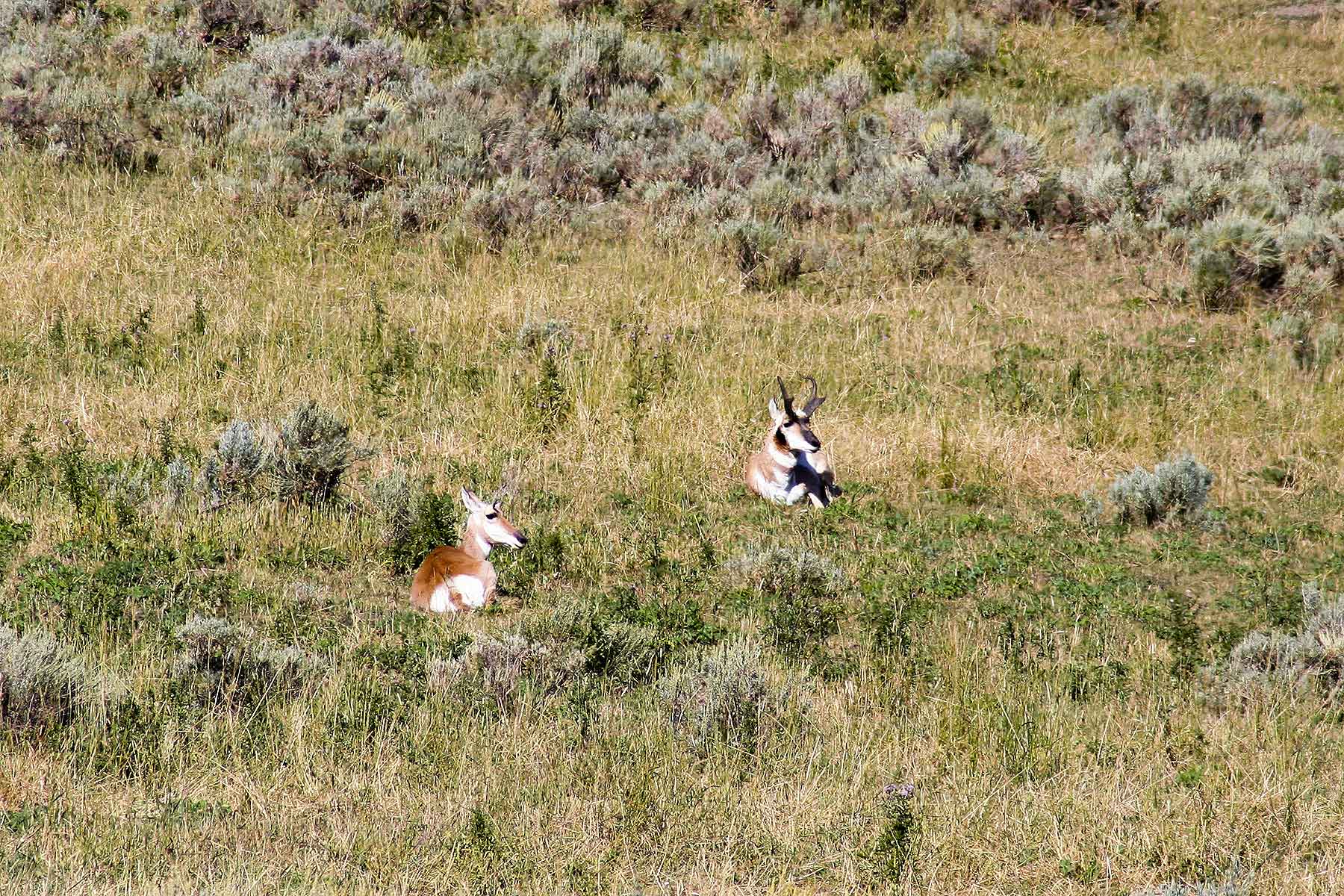 Elk Bluff Ranch property picture 46 of 59