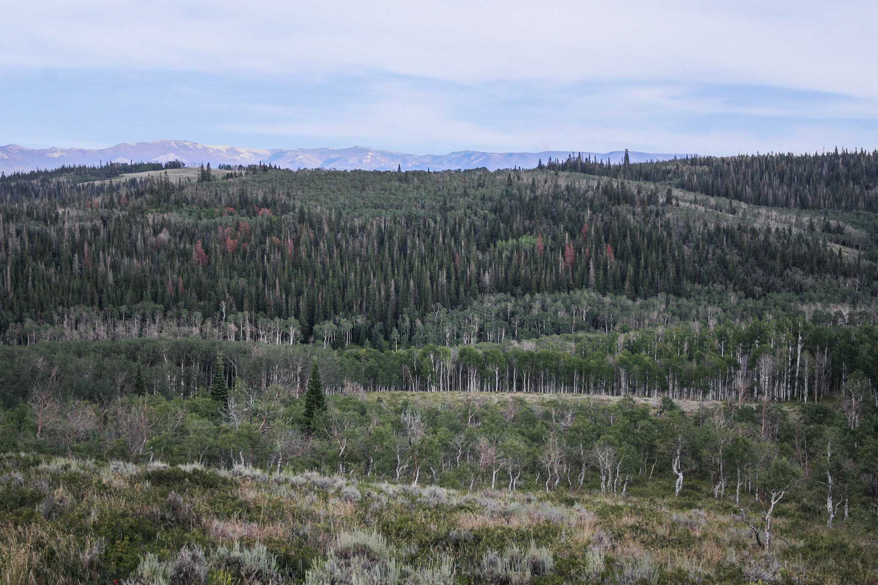 Elk Bluff Ranch property picture 30 of 59