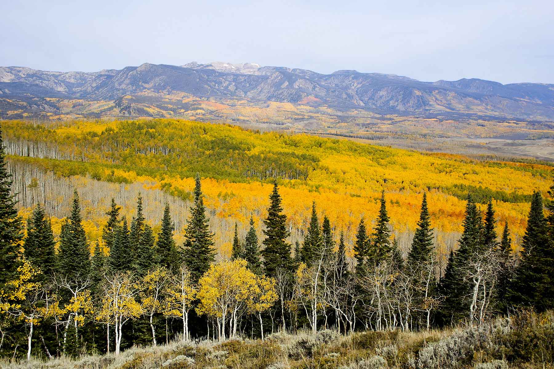 Elk Bluff Ranch property picture 56 of 59