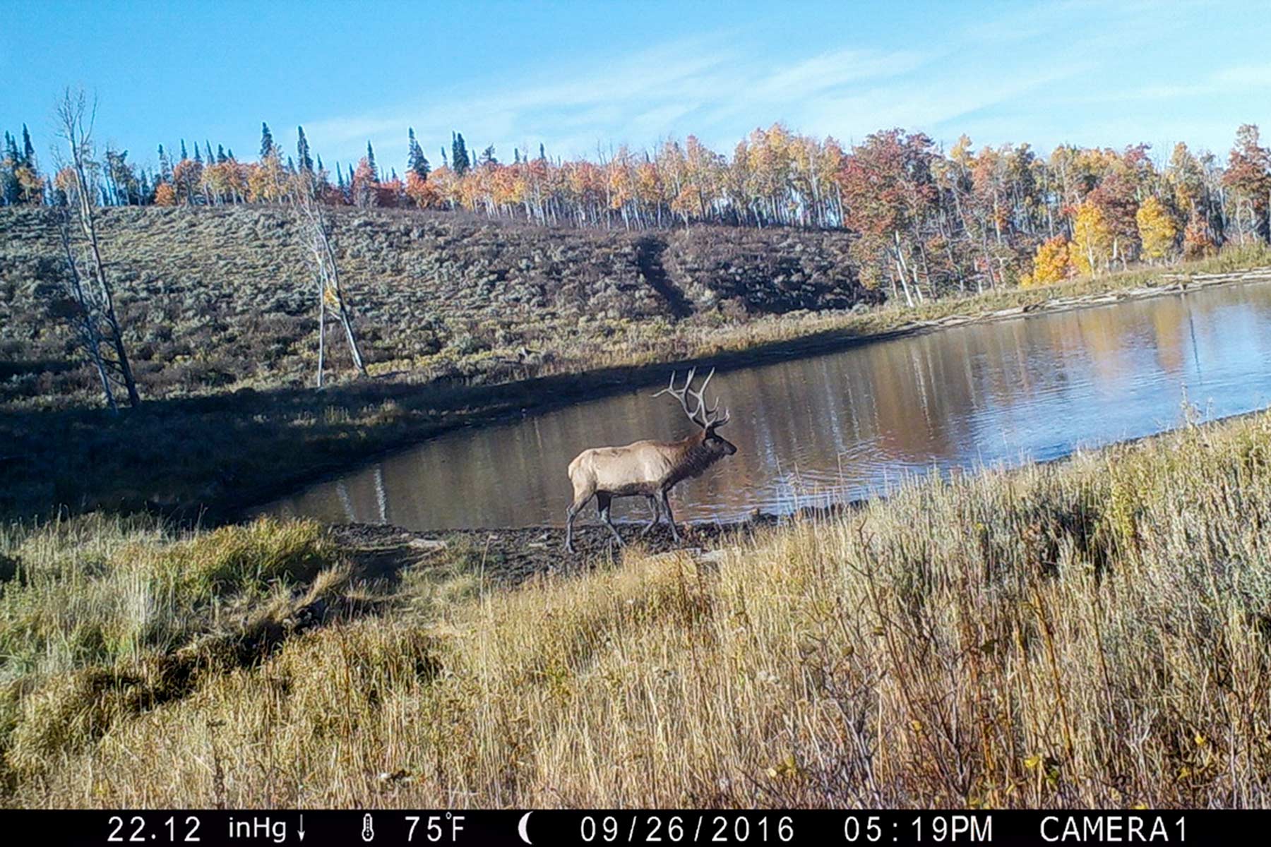 Elk Bluff Ranch property picture 38 of 59