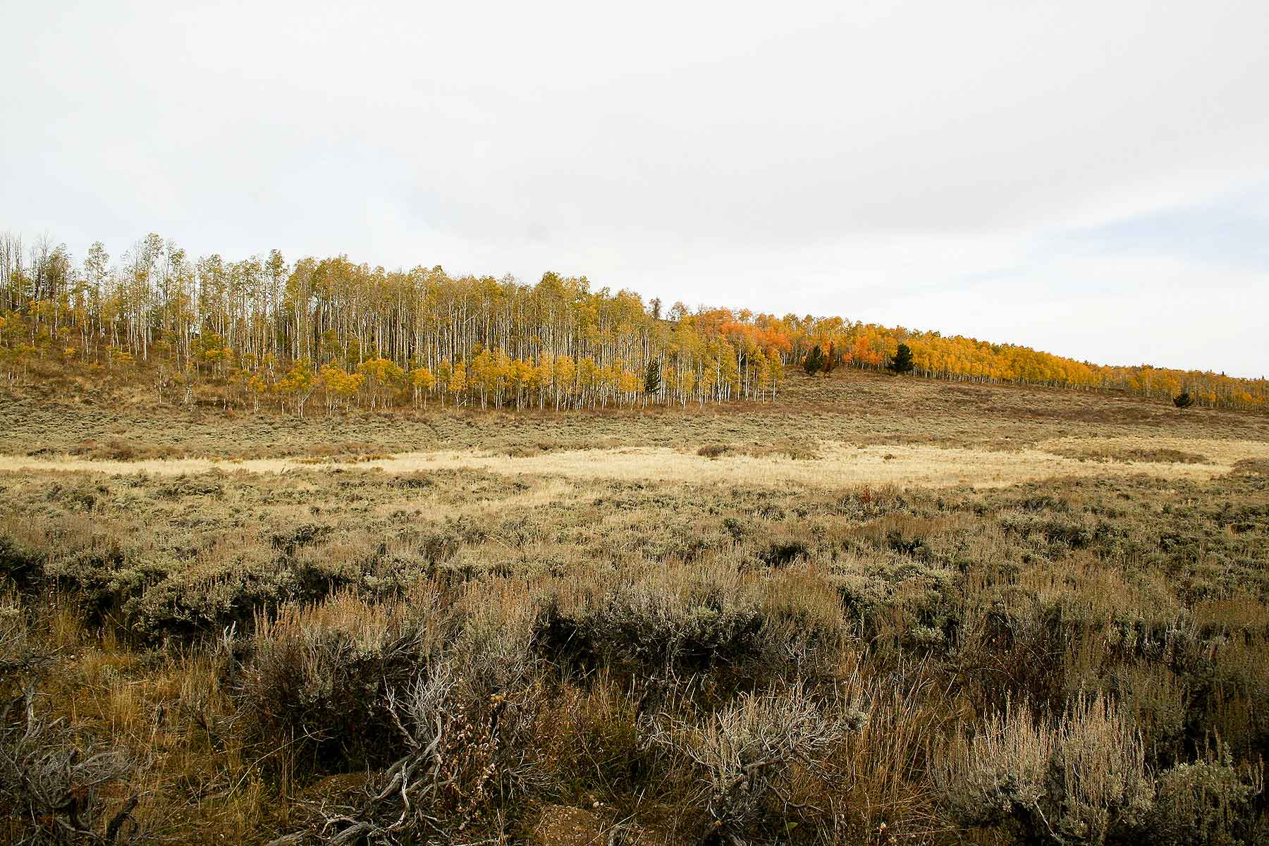 Elk Bluff Ranch property picture 50 of 59