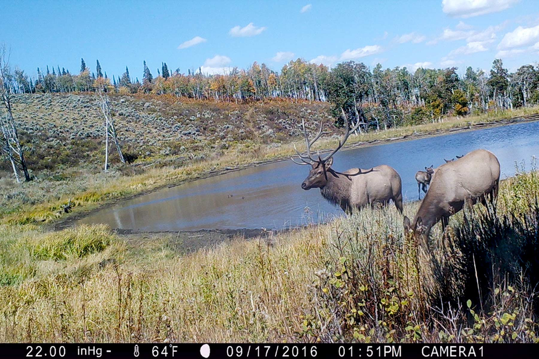 Elk Bluff Ranch property picture 9 of 59