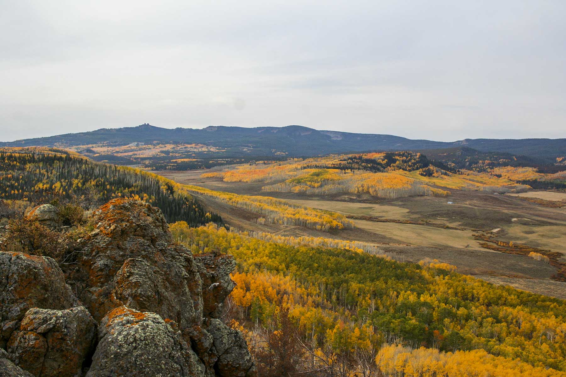 Elk Bluff Ranch property picture 27 of 59