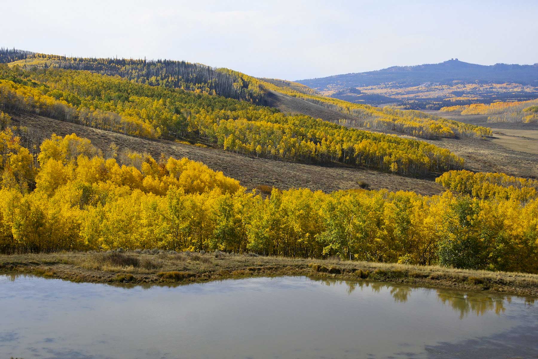 Elk Bluff Ranch property picture 19 of 59