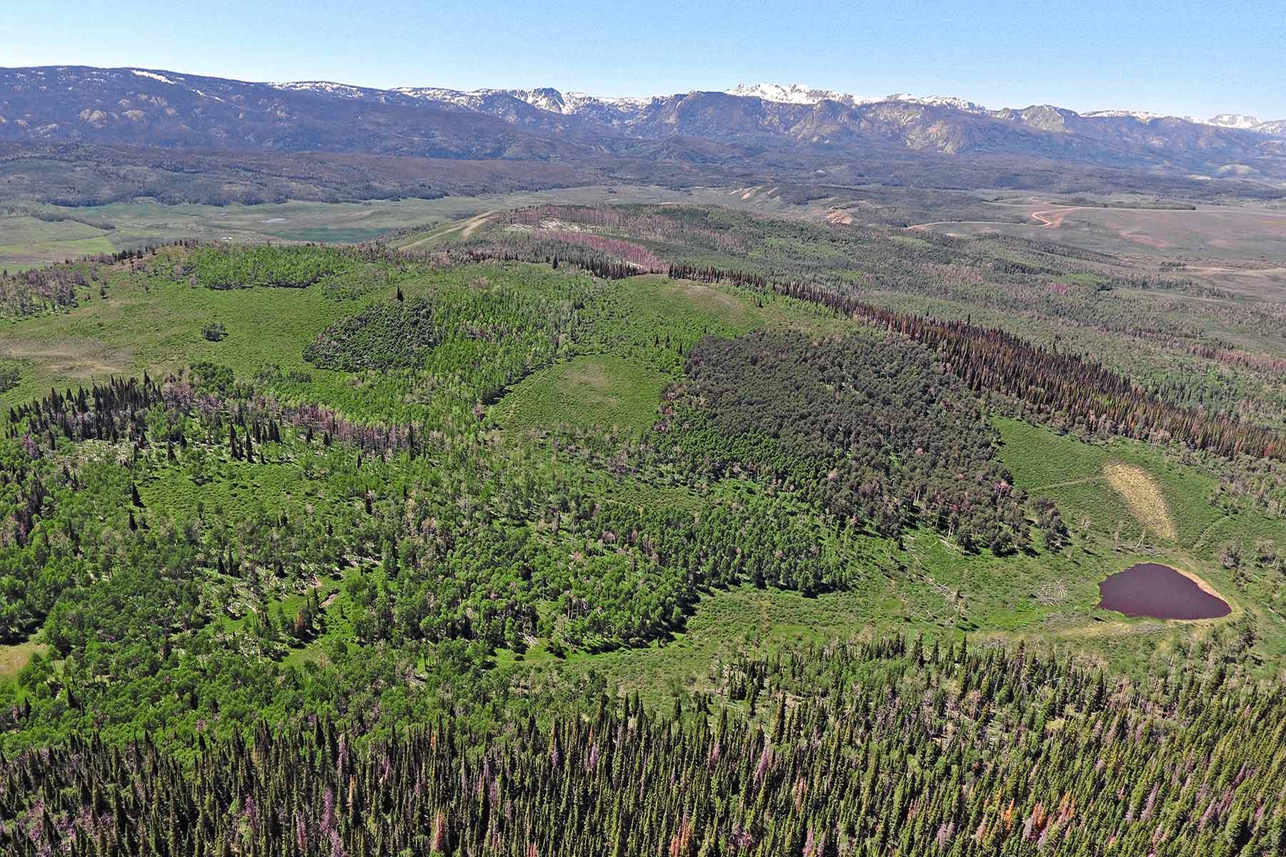 Elk Bluff Ranch property picture 8 of 59