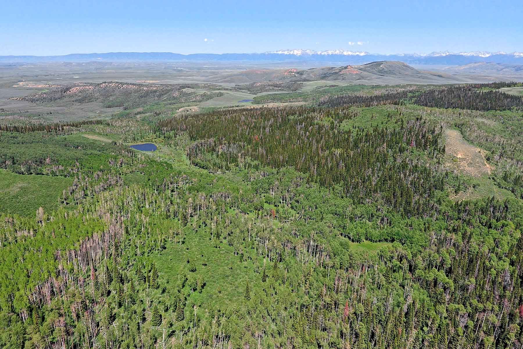 Elk Bluff Ranch property picture 3 of 59