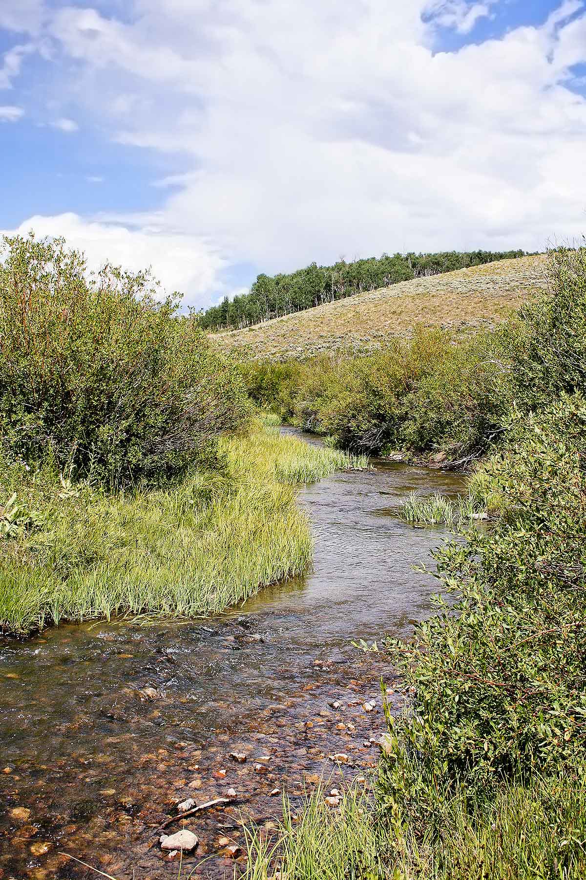 Elk Bluff Ranch property picture 6 of 59