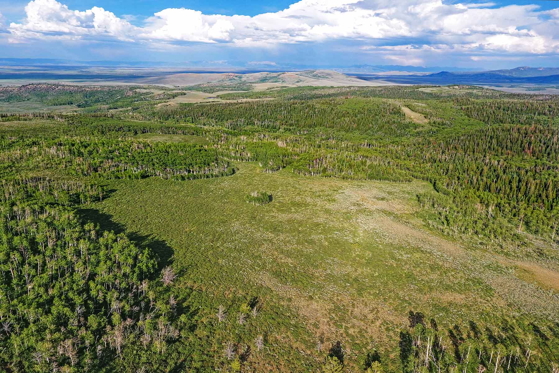 Elk Bluff Ranch property picture 12 of 59