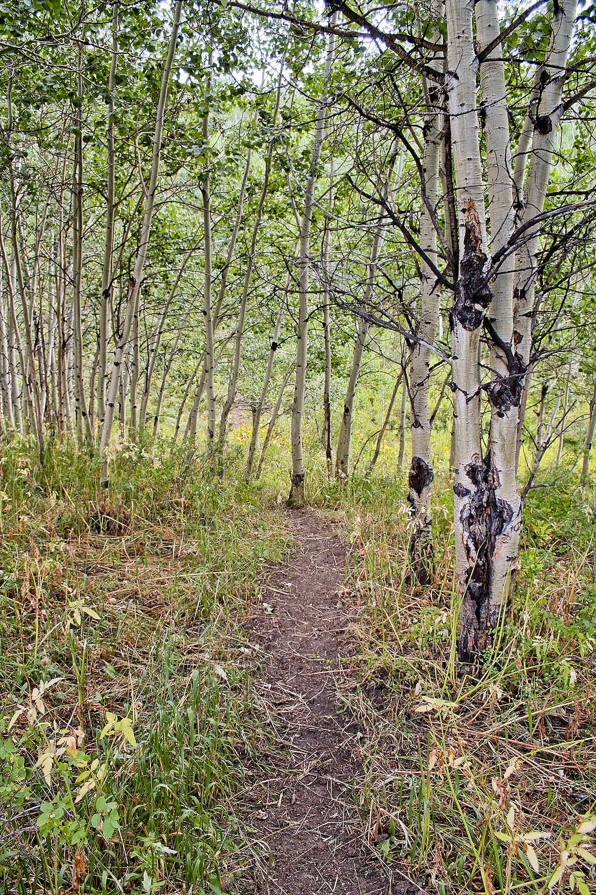 Elk Bluff Ranch property picture 43 of 59