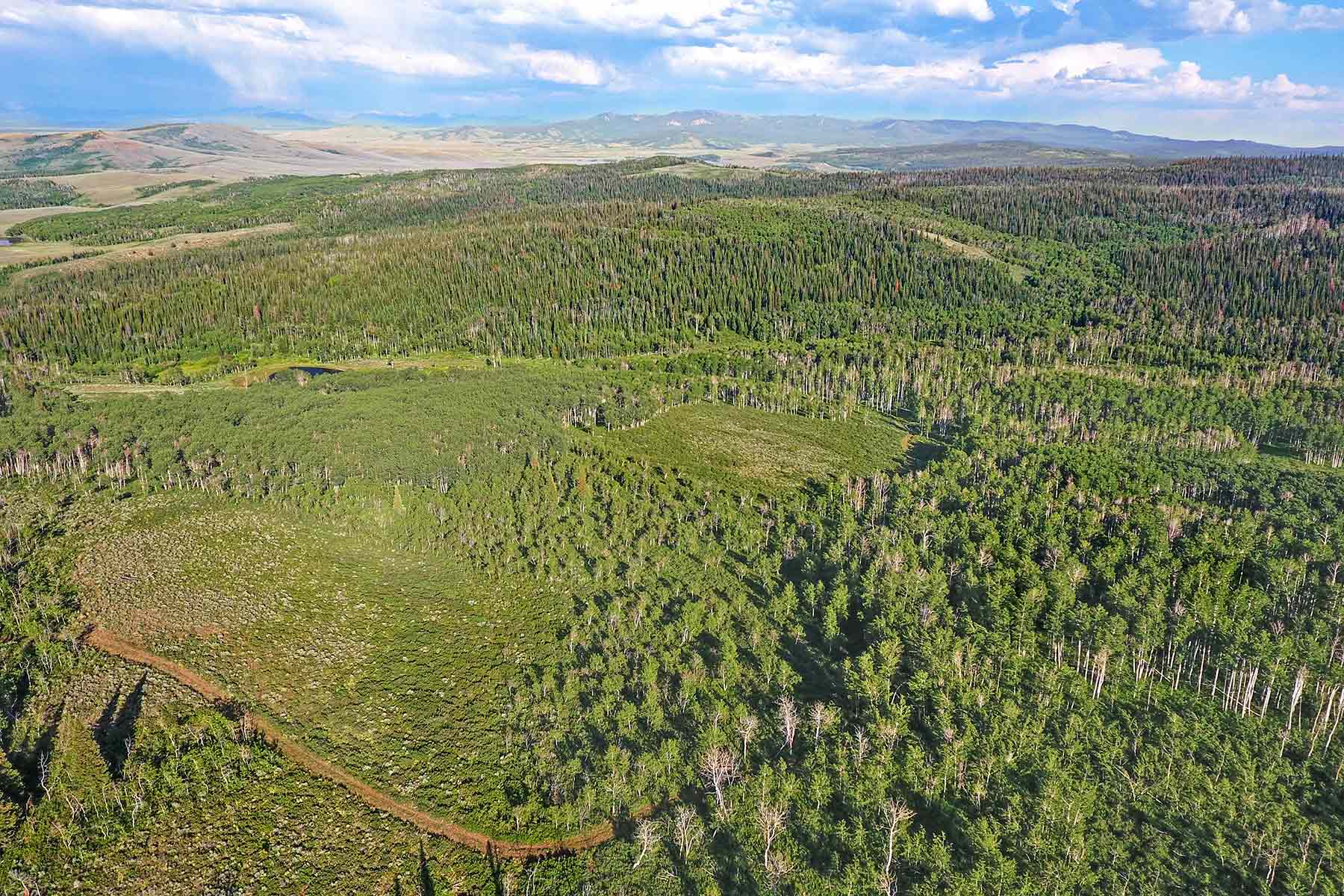 Elk Bluff Ranch property picture 54 of 59