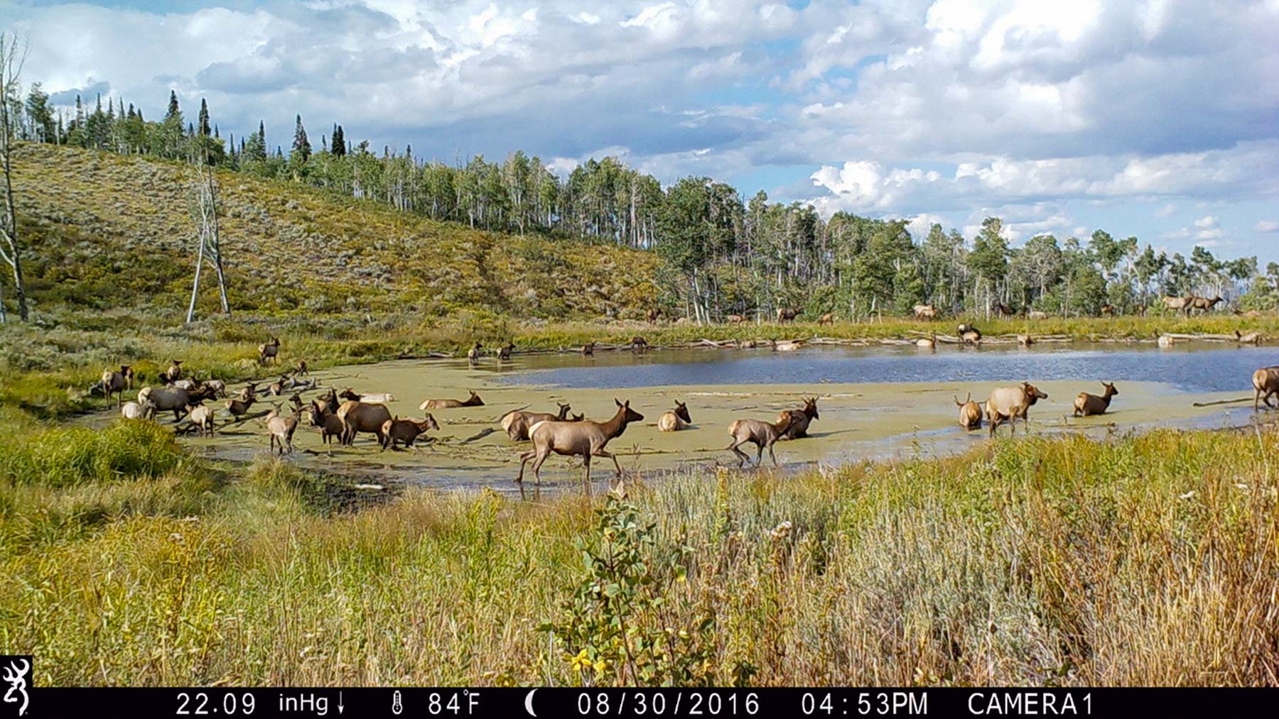 Elk Bluff Ranch property picture 39 of 59