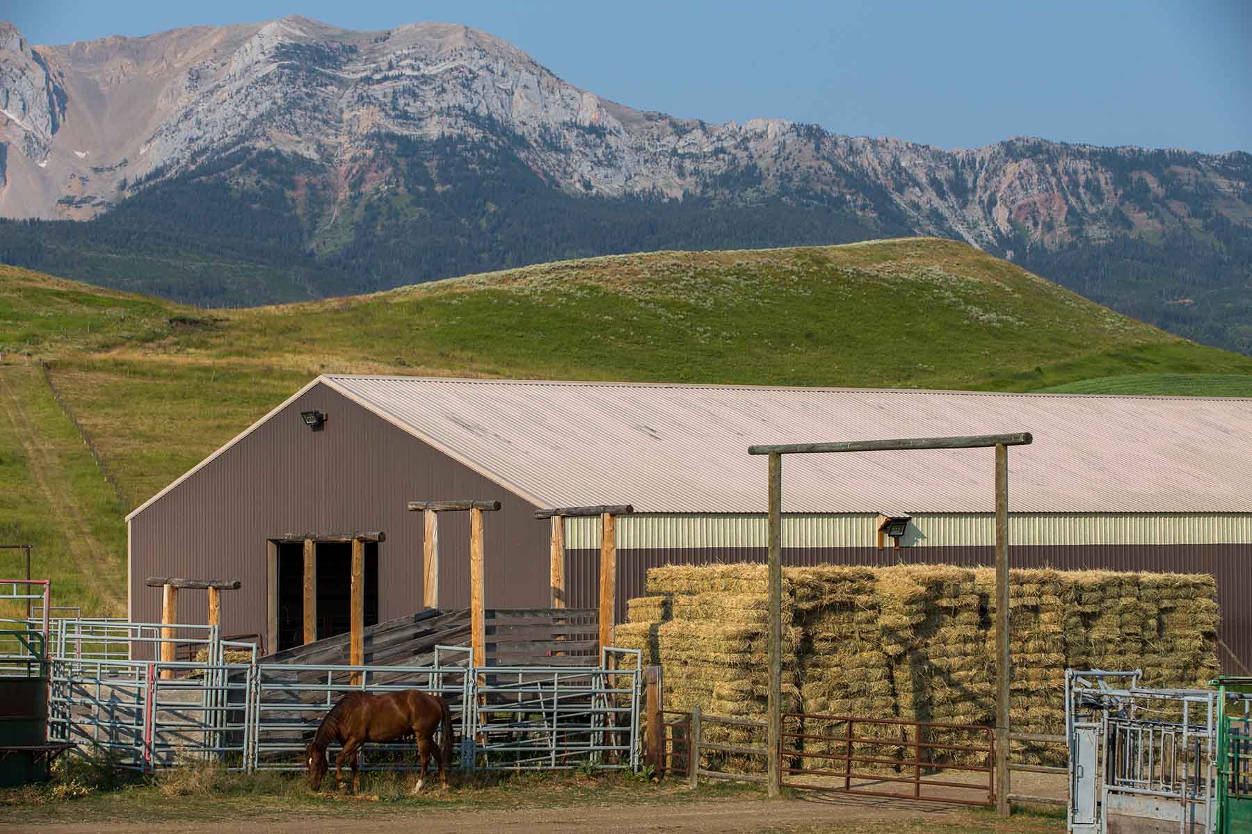 King of Hearts Ranch property picture 46 of 83