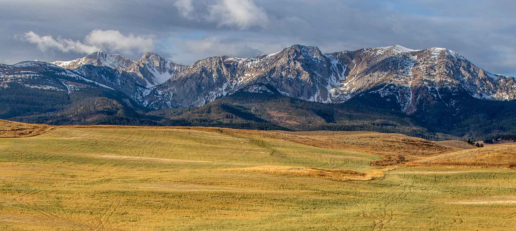 King of Hearts Ranch property picture 21 of 83