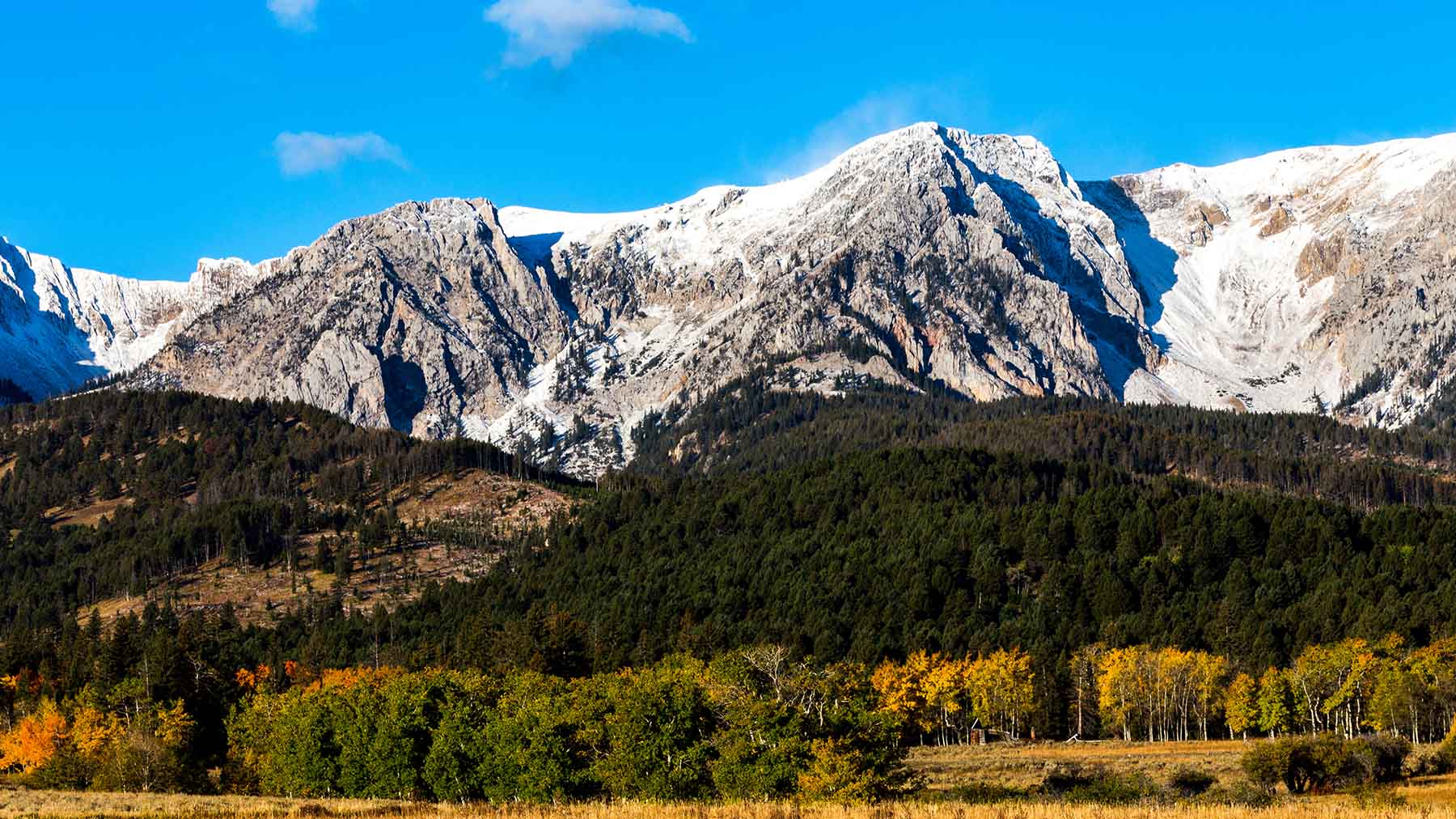 King of Hearts Ranch property picture 38 of 83