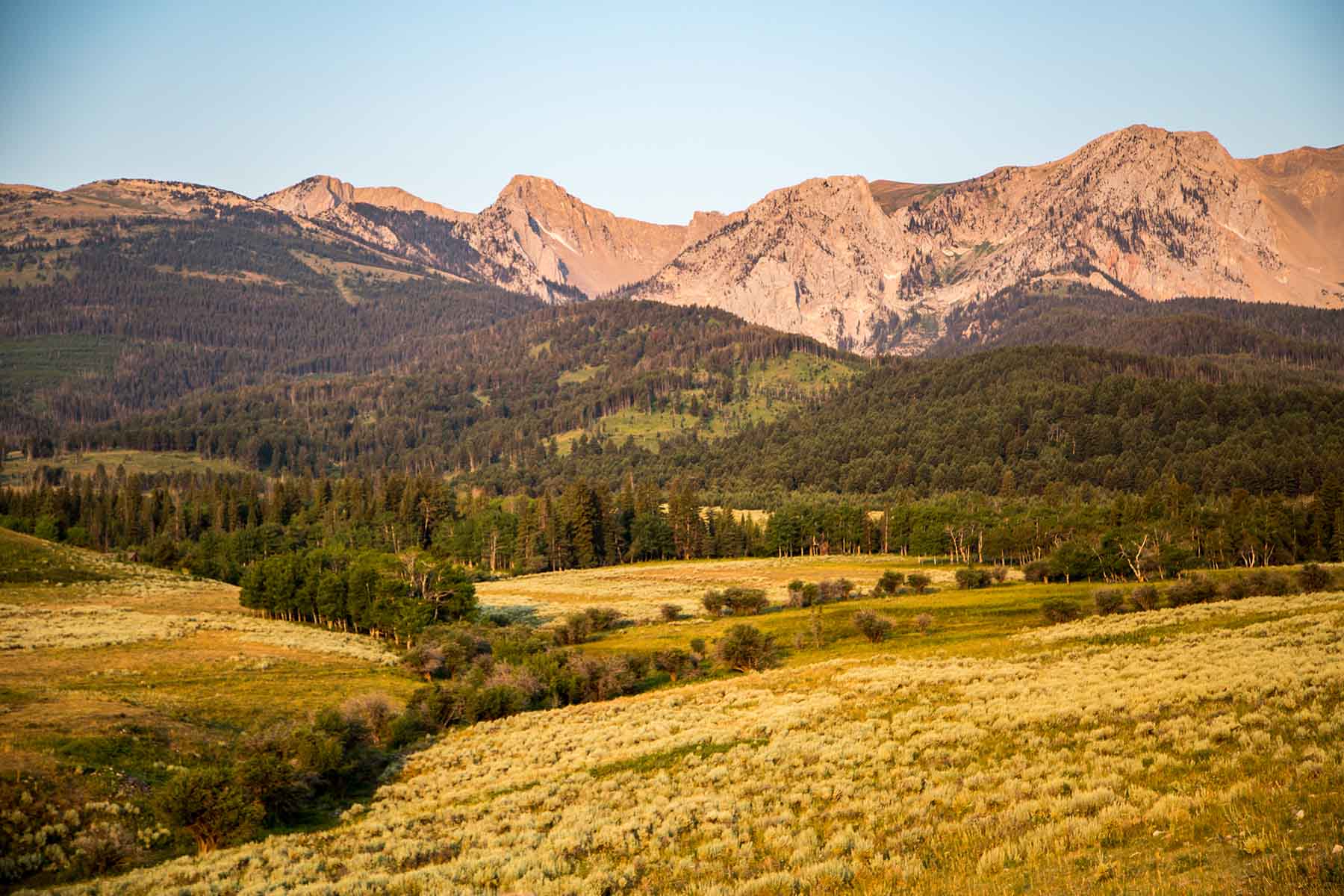 King of Hearts Ranch property picture 16 of 83