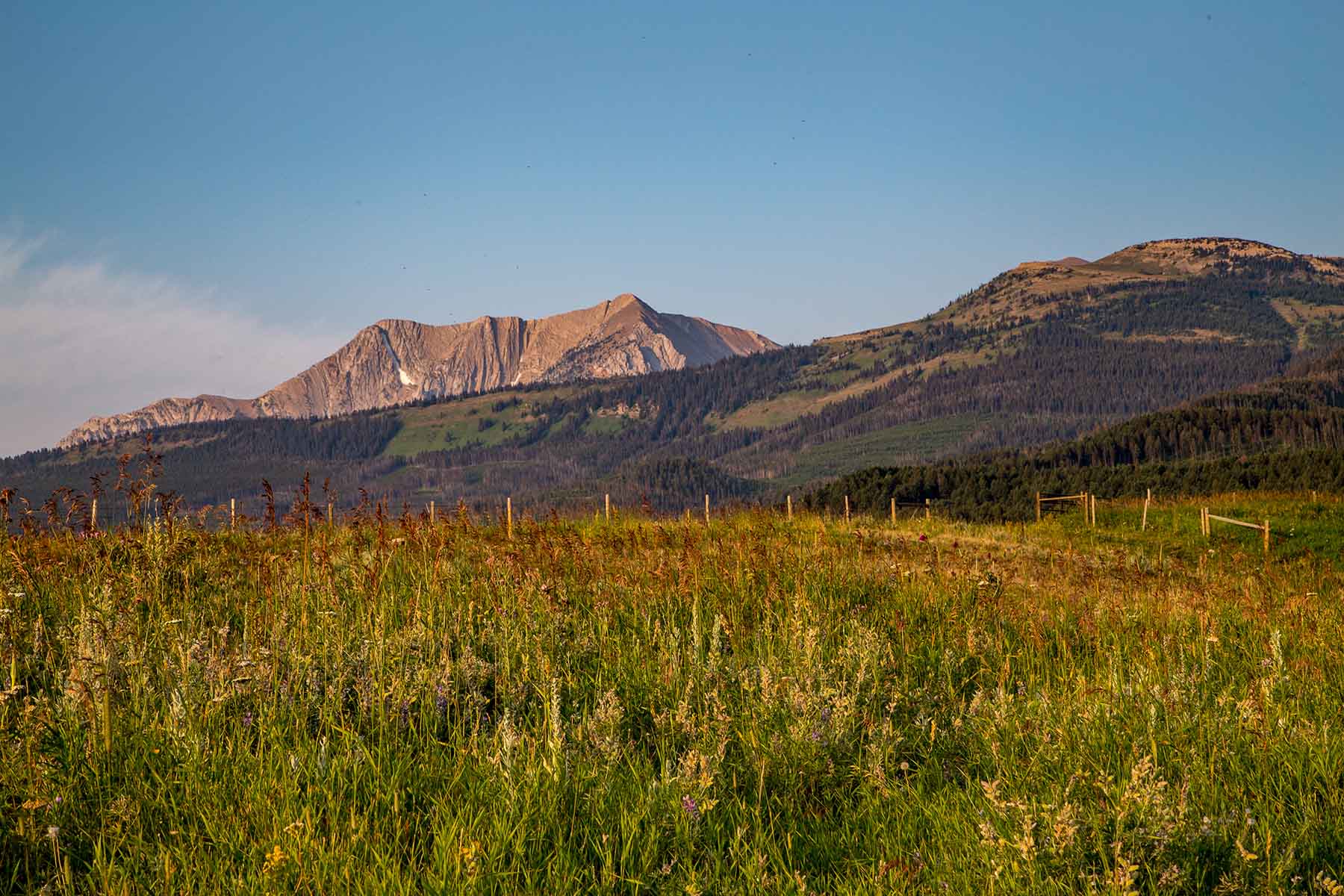 King of Hearts Ranch property picture 64 of 83