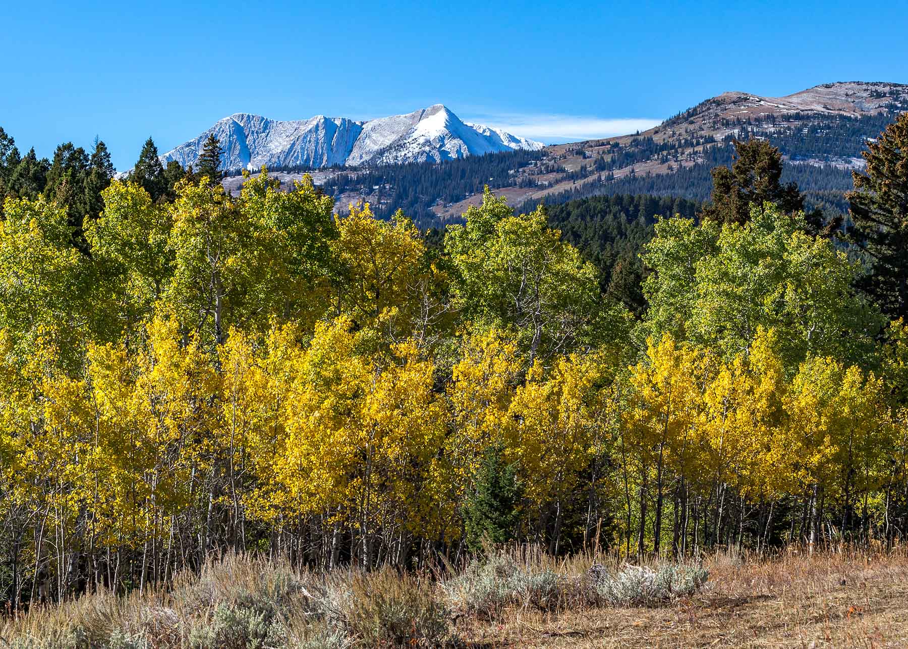 King of Hearts Ranch property picture 14 of 83