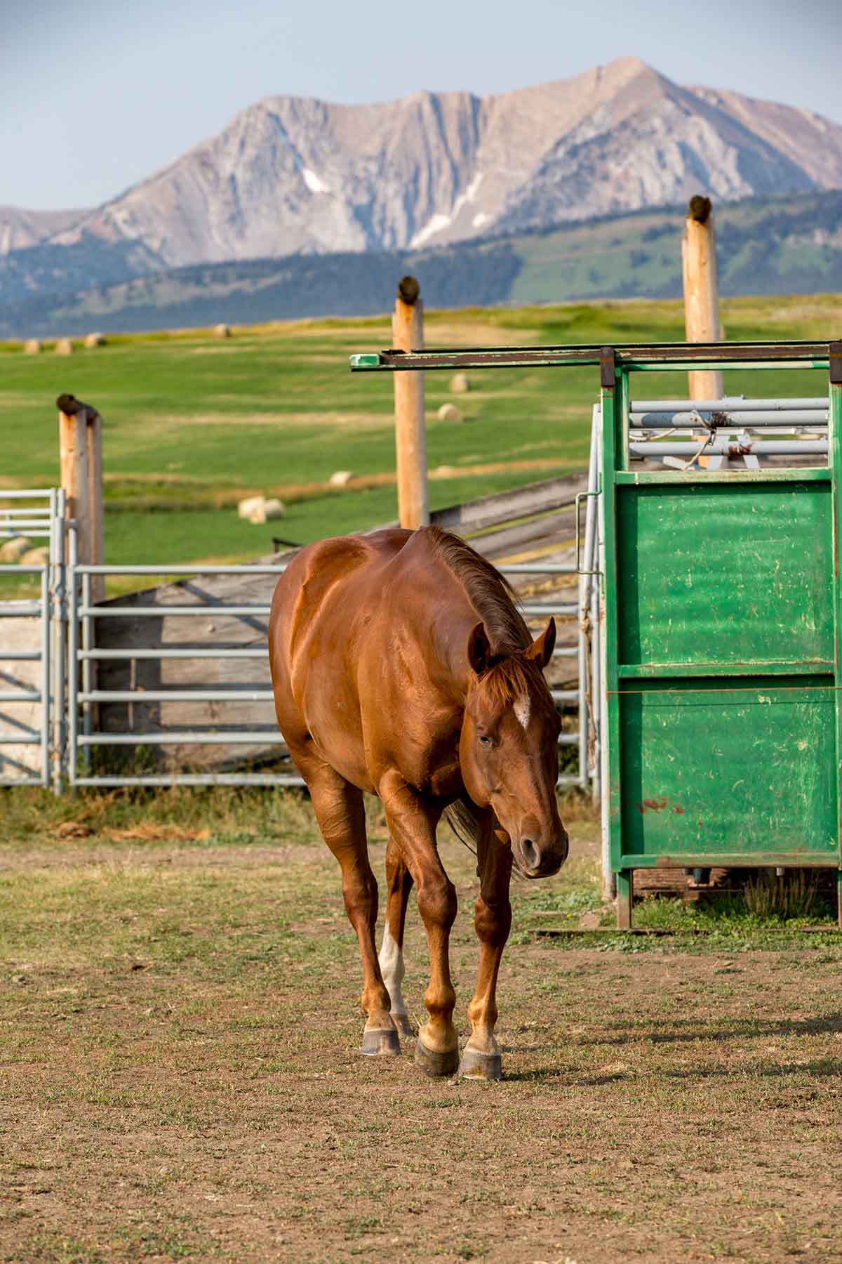 King of Hearts Ranch property picture 20 of 83
