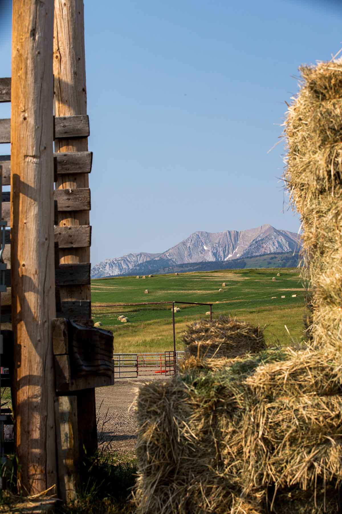 King of Hearts Ranch property picture 66 of 83