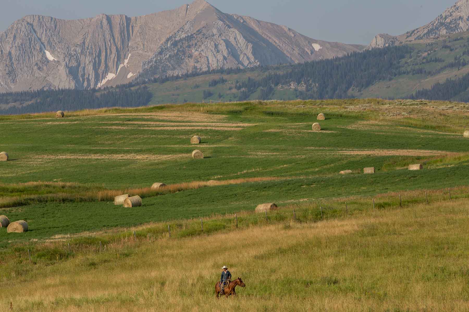 King of Hearts Ranch property picture 63 of 83
