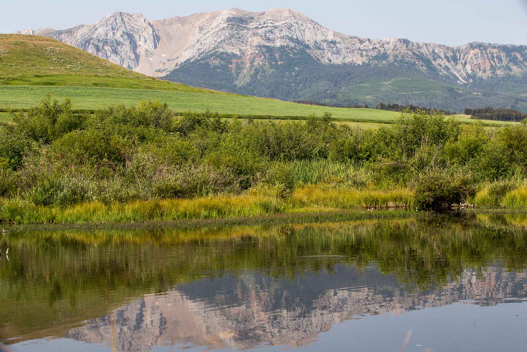 King of Hearts Ranch property picture 47 of 83