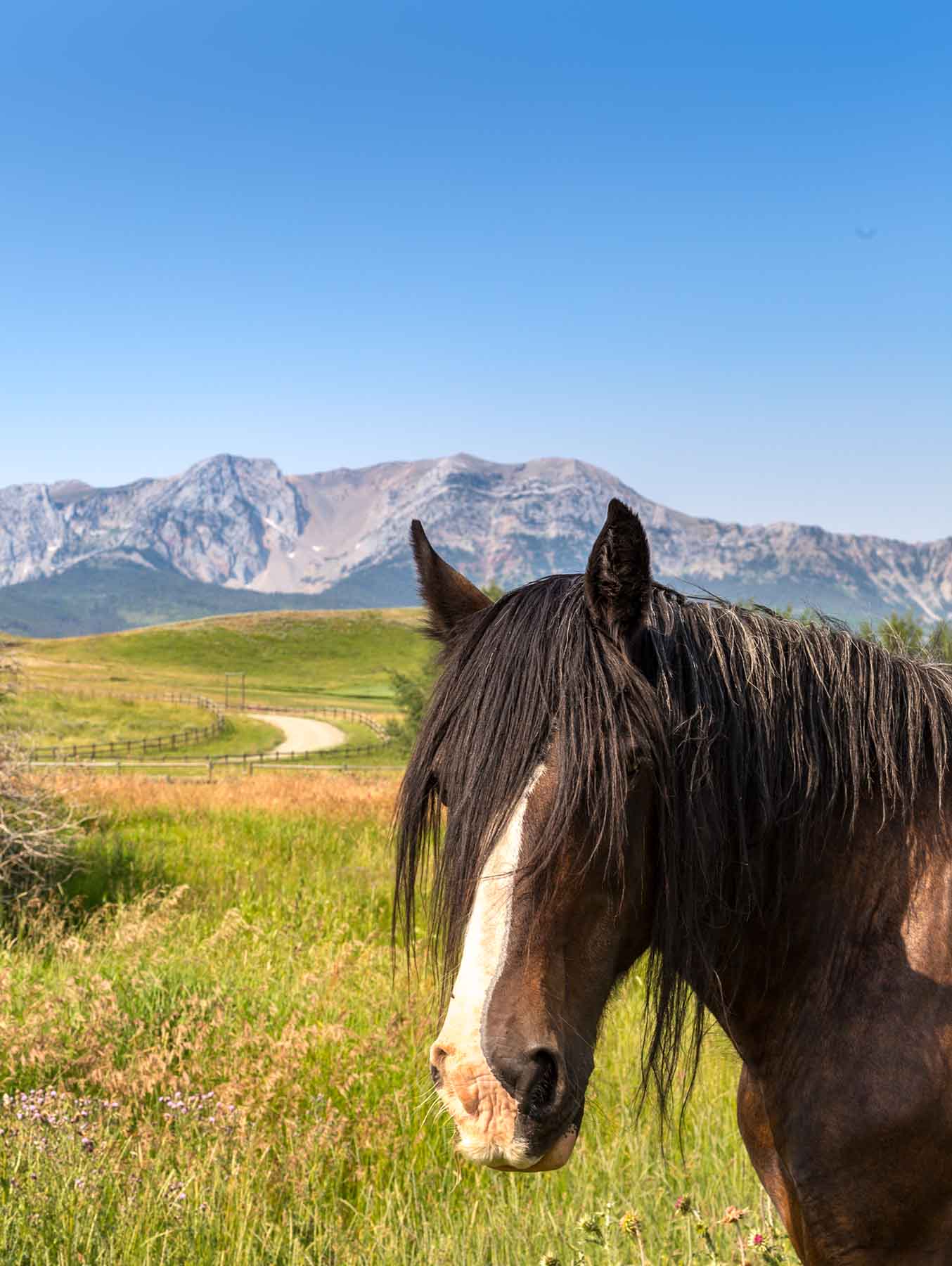 King of Hearts Ranch property picture 40 of 83