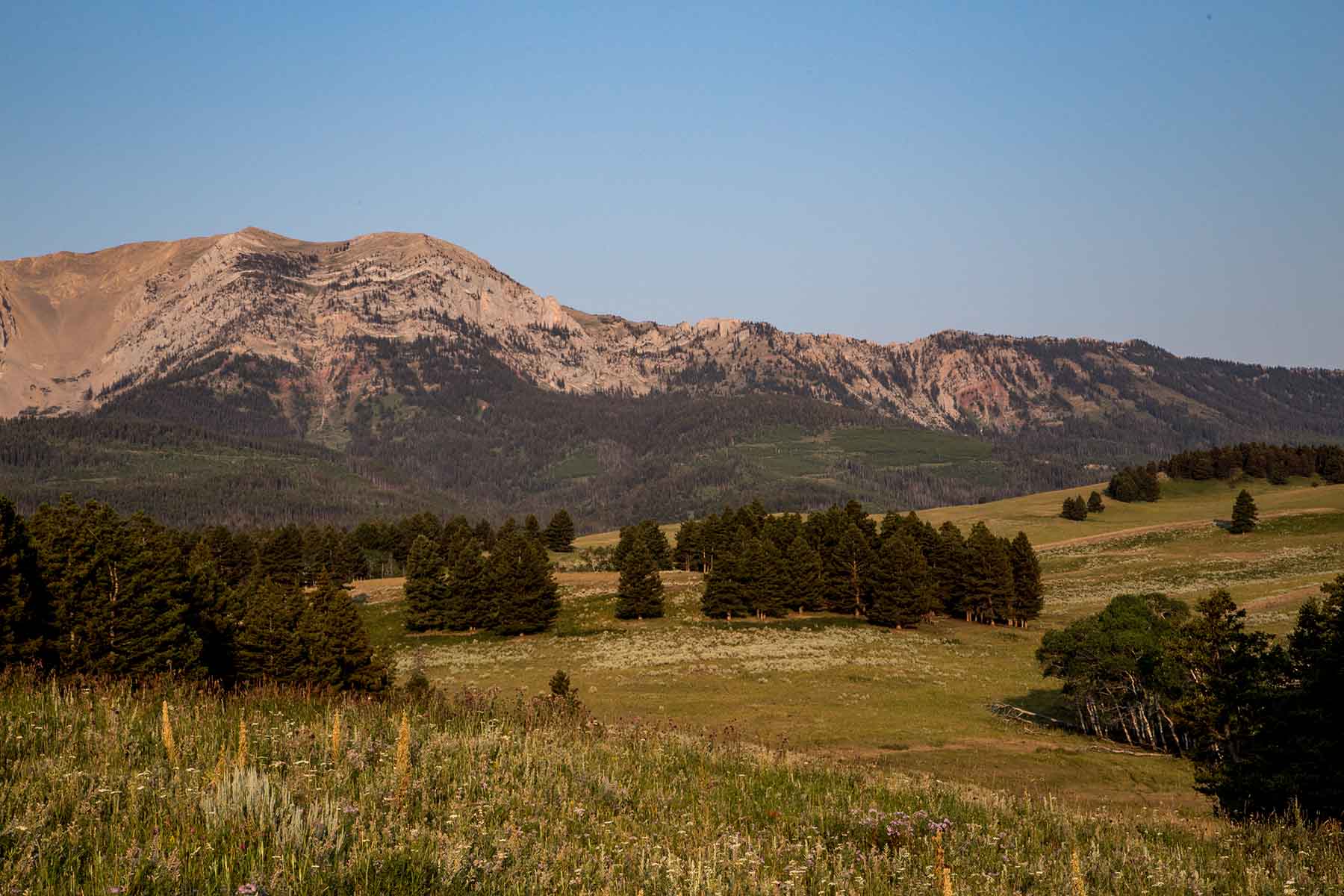 King of Hearts Ranch property picture 22 of 83