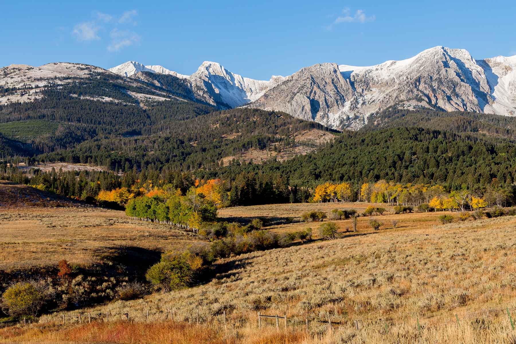 King of Hearts Ranch property picture 45 of 83