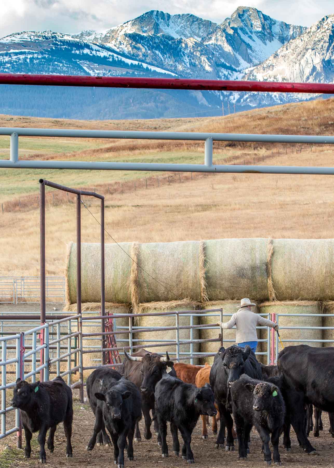 King of Hearts Ranch property picture 19 of 83