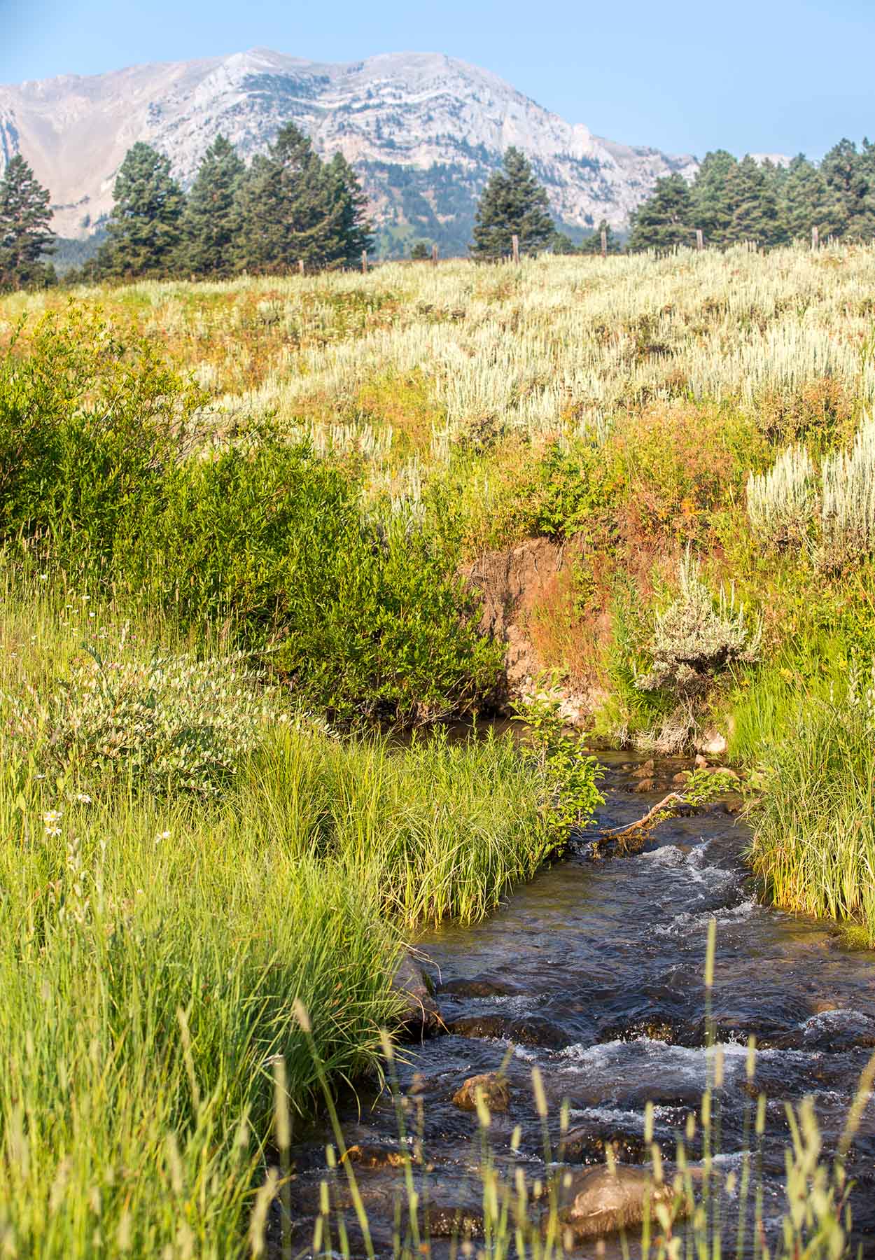 King of Hearts Ranch property picture 62 of 83